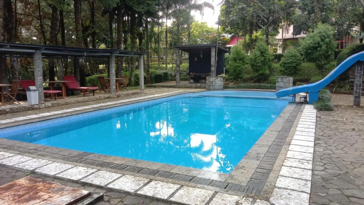 Villa Yedidah *