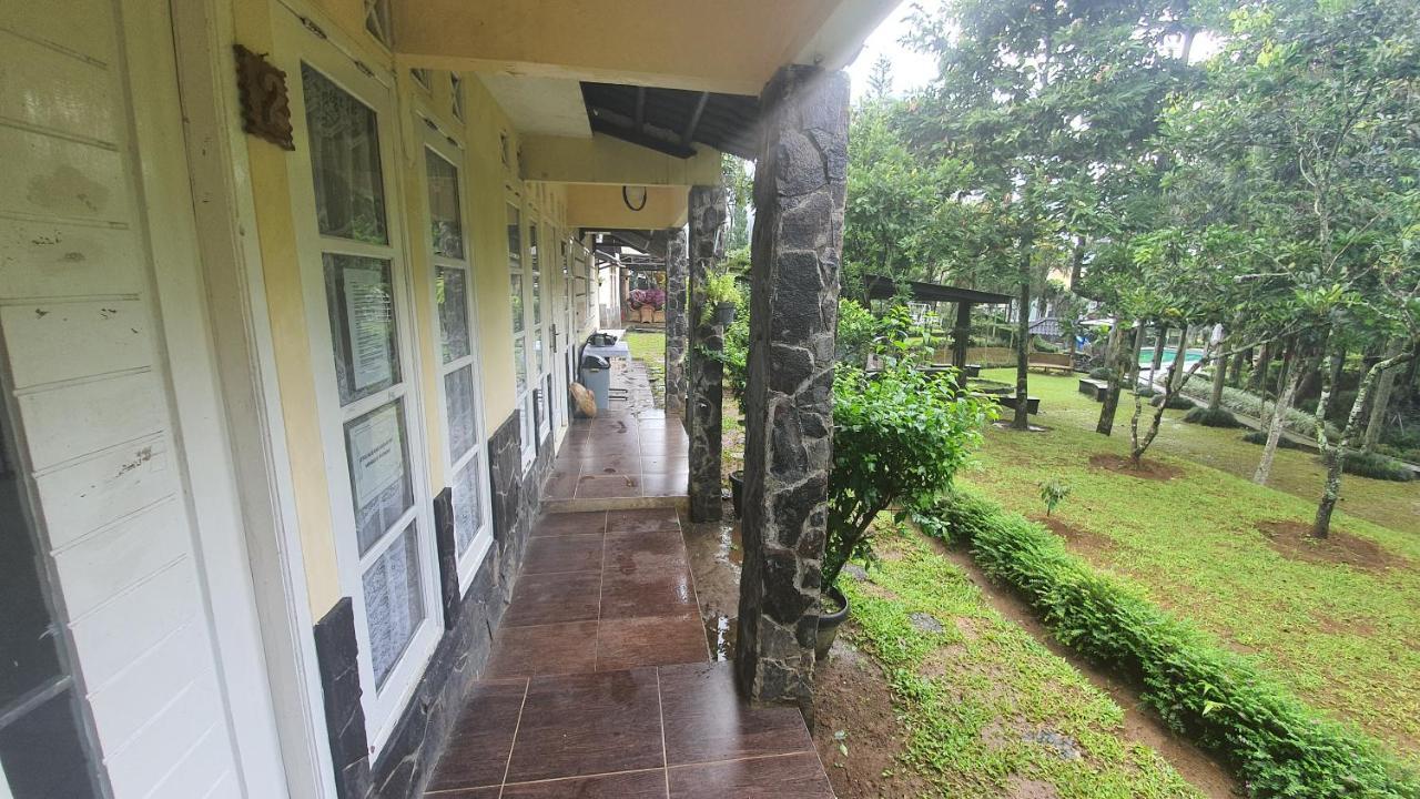 Villa Yedidah *