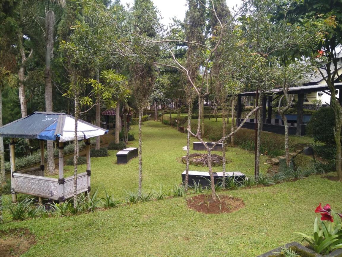 Yedidah Bogor