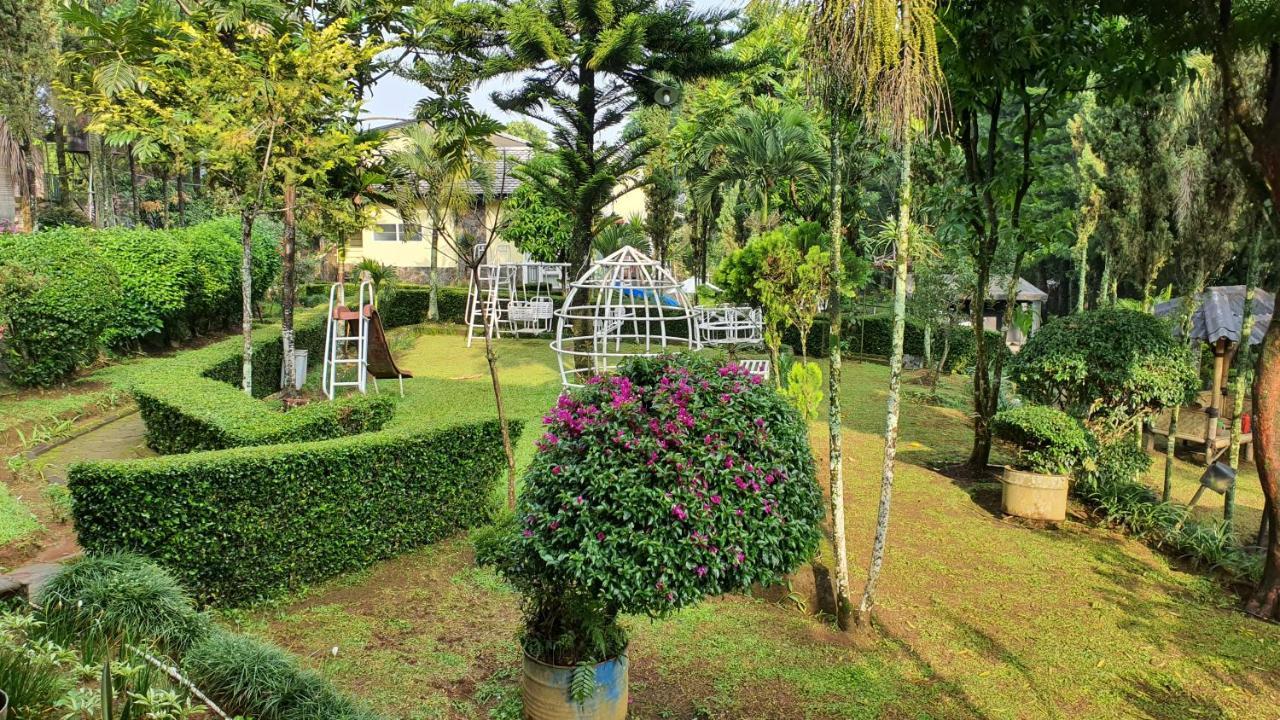 Villa Yedidah