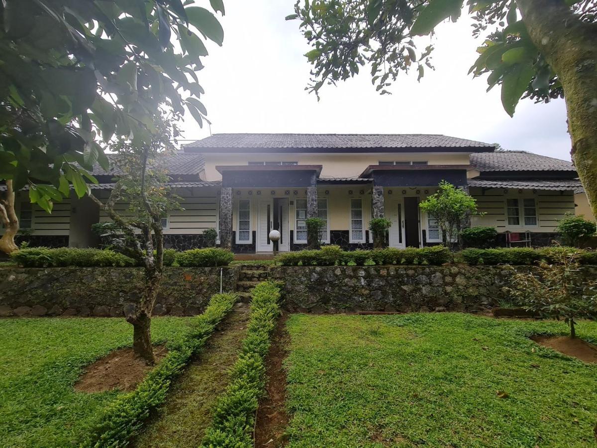 Yedidah Villa